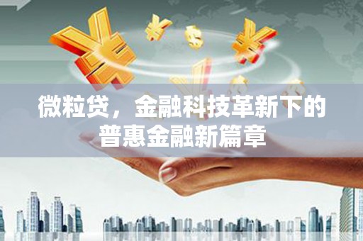 云龙微粒贷，金融科技革新下的普惠金融新篇章