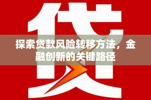 云龙探索贷款风险转移方法，金融创新的关键路径