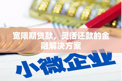 云龙宽限期贷款，灵活还款的金融解决方案