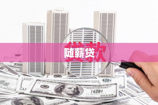 云龙随薪贷