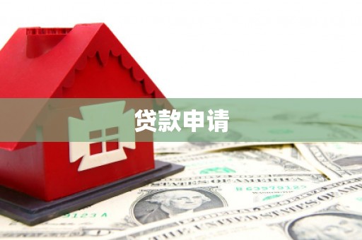 云龙贷款申请