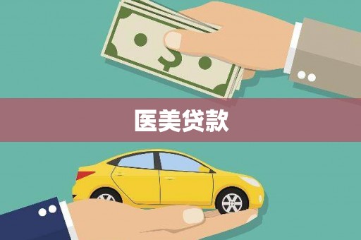 云龙医美贷款