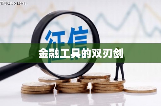 云龙金融工具的双刃剑