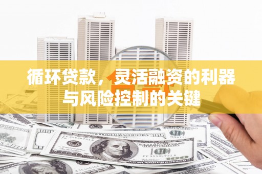 云龙循环贷款，灵活融资的利器与风险控制的关键