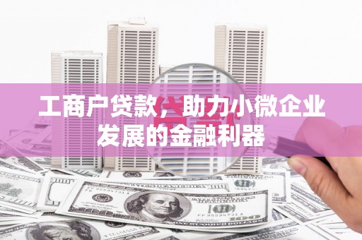 云龙工商户贷款，助力小微企业发展的金融利器