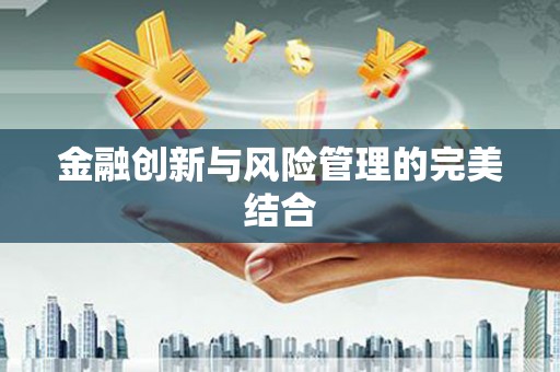 云龙金融创新与风险管理的完美结合