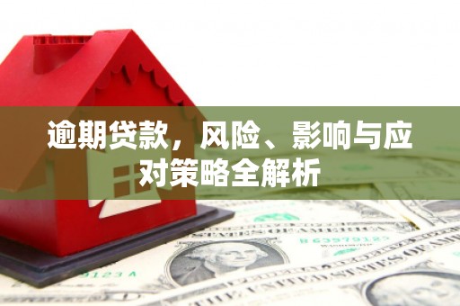 云龙逾期贷款，风险、影响与应对策略全解析