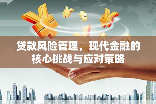 云龙贷款风险管理，现代金融的核心挑战与应对策略