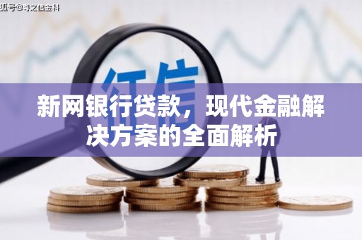 云龙新网银行贷款，现代金融解决方案的全面解析