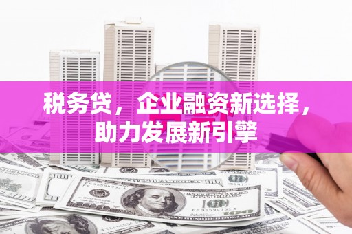 云龙税务贷，企业融资新选择，助力发展新引擎