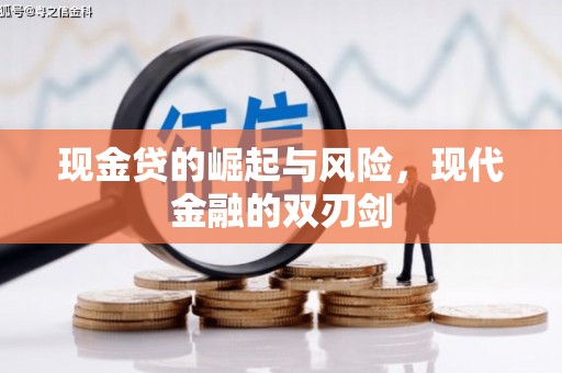 云龙现金贷的崛起与风险，现代金融的双刃剑