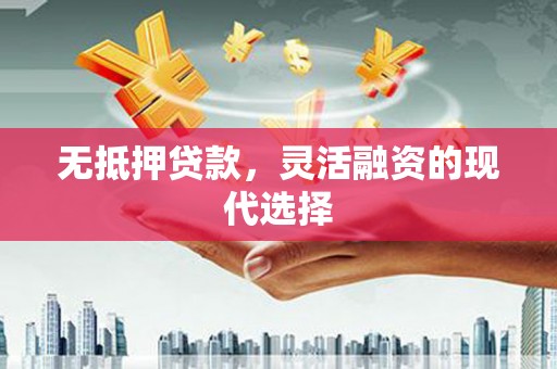 云龙无抵押贷款，灵活融资的现代选择