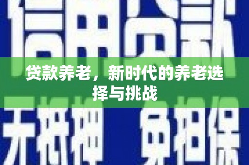 云龙贷款养老，新时代的养老选择与挑战
