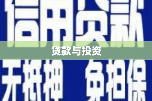 云龙贷款与投资