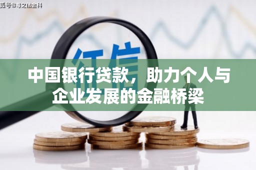 云龙中国银行贷款，助力个人与企业发展的金融桥梁