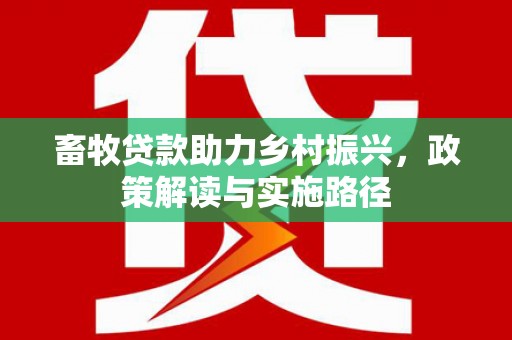 云龙畜牧贷款助力乡村振兴，政策解读与实施路径