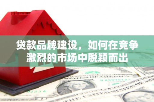云龙贷款品牌建设，如何在竞争激烈的市场中脱颖而出