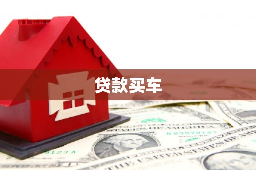 云龙贷款买车