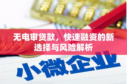 云龙无电审贷款，快速融资的新选择与风险解析