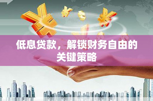 云龙低息贷款，解锁财务自由的关键策略