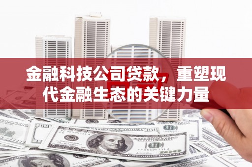 云龙金融科技公司贷款，重塑现代金融生态的关键力量