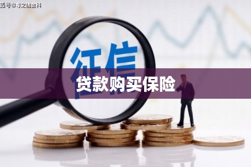 云龙贷款购买保险