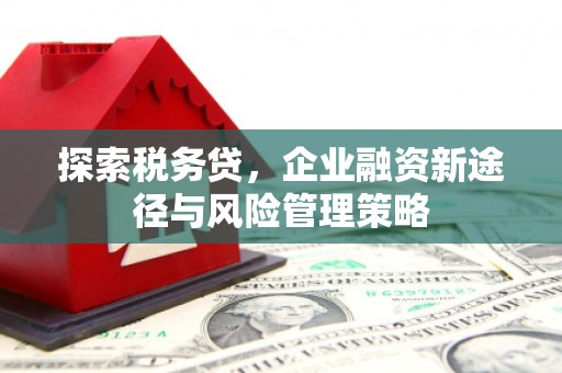 云龙探索税务贷，企业融资新途径与风险管理策略