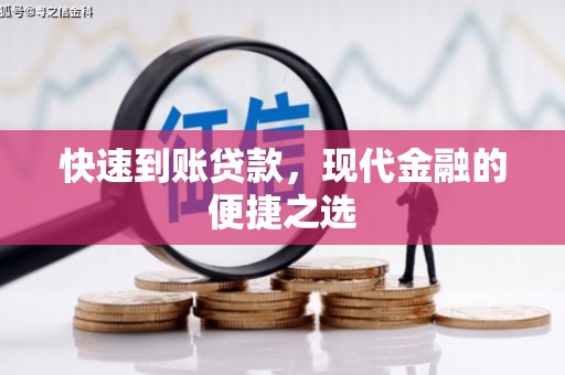 云龙快速到账贷款，现代金融的便捷之选