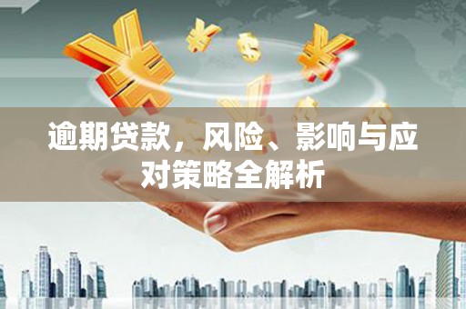 云龙逾期贷款，风险、影响与应对策略全解析