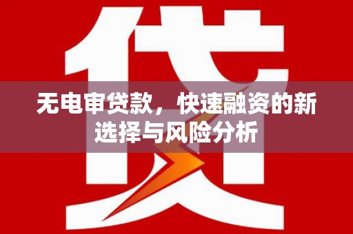 云龙无电审贷款，快速融资的新选择与风险分析