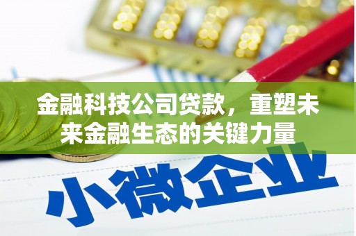 云龙金融科技公司贷款，重塑未来金融生态的关键力量