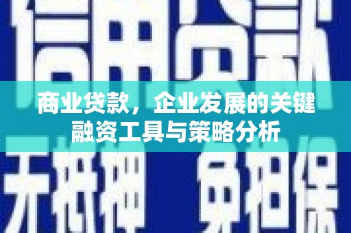 云龙商业贷款，企业发展的关键融资工具与策略分析