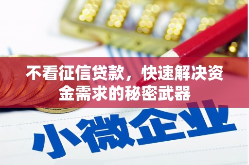 云龙不看征信贷款，快速解决资金需求的秘密武器