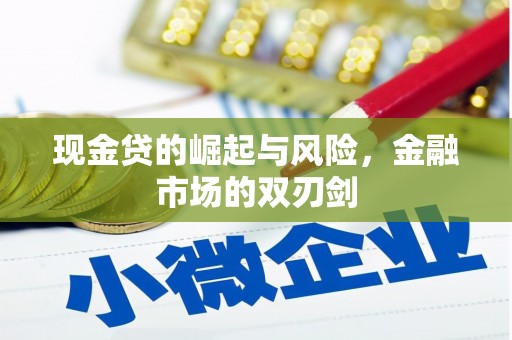 云龙现金贷的崛起与风险，金融市场的双刃剑