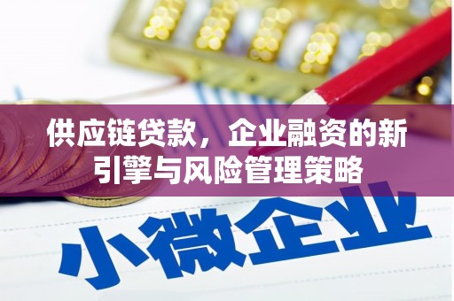 云龙供应链贷款，企业融资的新引擎与风险管理策略