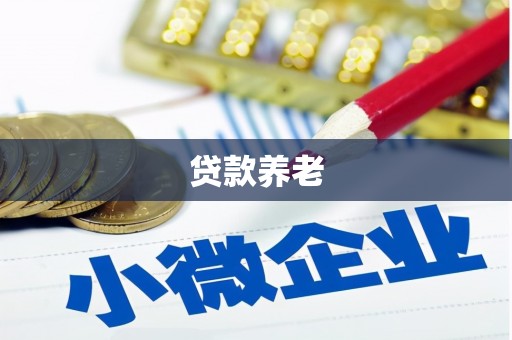 云龙贷款养老