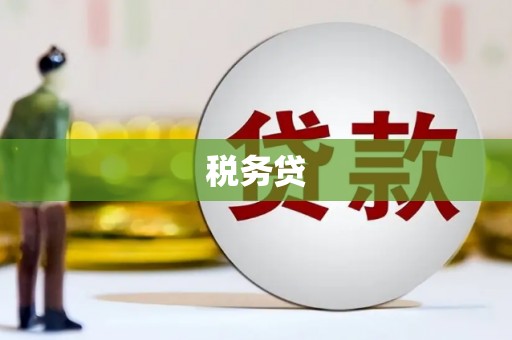 云龙税务贷