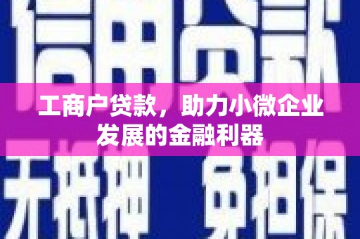 云龙工商户贷款，助力小微企业发展的金融利器