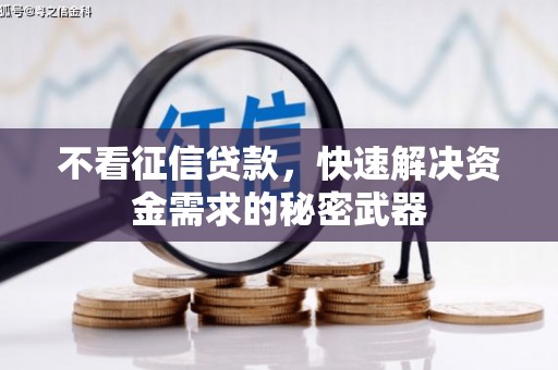 云龙不看征信贷款，快速解决资金需求的秘密武器
