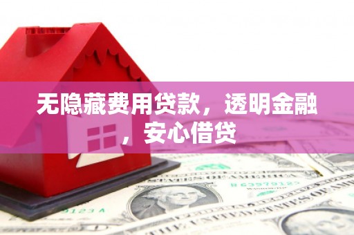 云龙无隐藏费用贷款，透明金融，安心借贷