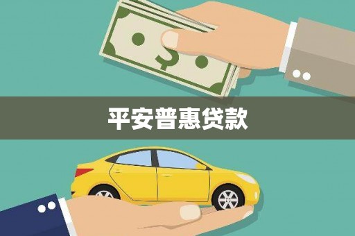 云龙平安普惠贷款