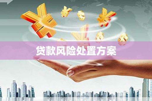 云龙贷款风险处置方案