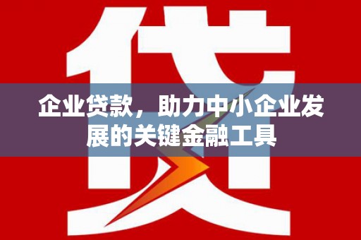 云龙企业贷款，助力中小企业发展的关键金融工具