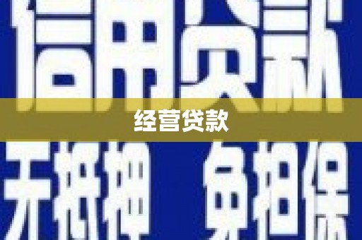 云龙经营贷款