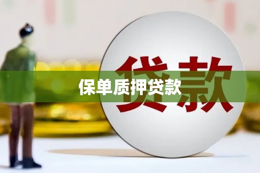 云龙保单质押贷款