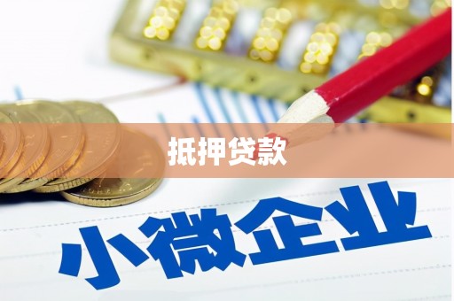 云龙抵押贷款