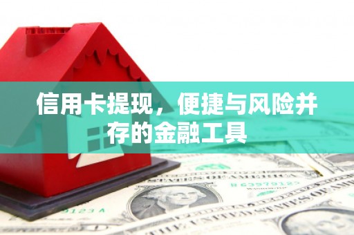 云龙信用卡提现，便捷与风险并存的金融工具