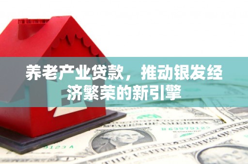 云龙养老产业贷款，推动银发经济繁荣的新引擎