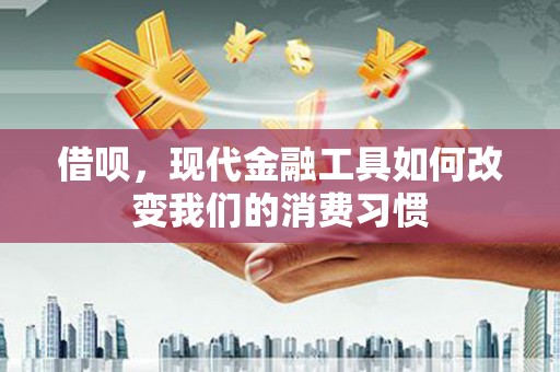 云龙借呗，现代金融工具如何改变我们的消费习惯