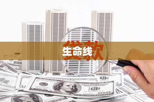 云龙生命线